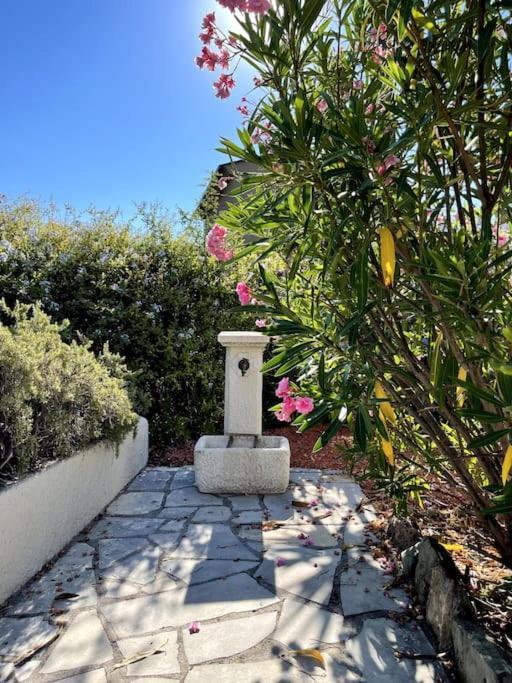 Villa La Quietude Les Issambres Eksteriør billede